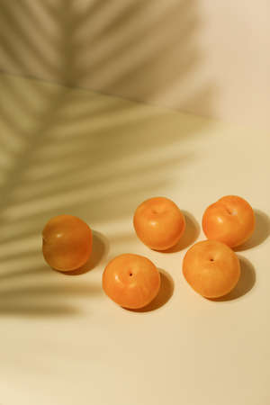 Marian Plum, prange plum on neutral background with palm shadowの写真素材