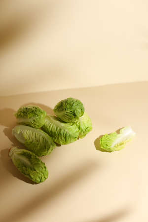 Baby cabbage on beige backgroundの写真素材