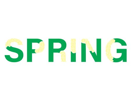 The word spring. Green text with yellow flowers on white backgroundのイラスト素材