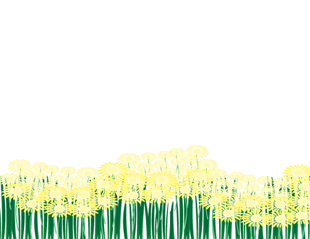Spring vector background. yellow flowers and green grass on white backgroundのイラスト素材