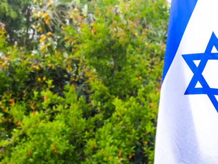 Israel Flag and Loquat Tree Backgroundの写真素材