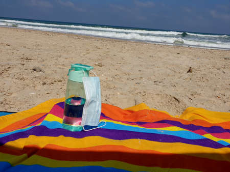Jellyfish in the water near the beachの写真素材