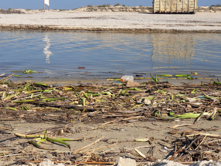 River pollution, Plastic bottle in the water and trash container on shoreの写真素材
