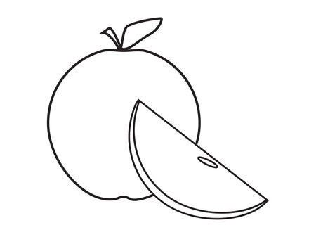 Black White Apple line art style, Apple and apple sliceのイラスト素材