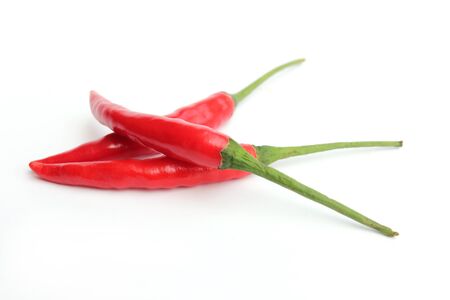 the bird's eye chili.の写真素材