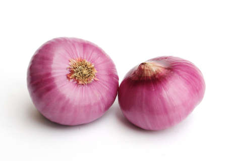 red onionの写真素材