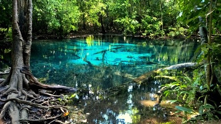 Bluepool Krabi,Thailandの写真素材