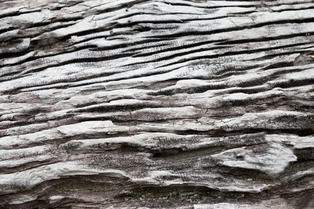 Old wooden surfaces that have been drowned for a long timeの写真素材