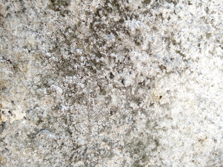 Grunge cement wall texture. Abstract background and texture for design.の写真素材