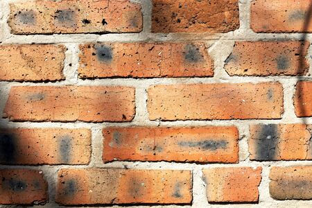 red brick wall. close-up textureの写真素材