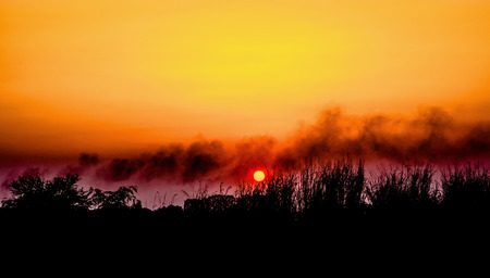 sunsetの写真素材