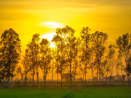 sunsetの写真素材