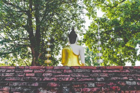 Back Of Buddha Statue In Thailand Templeの写真素材