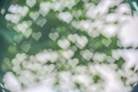 Green background bokeh with heartの写真素材