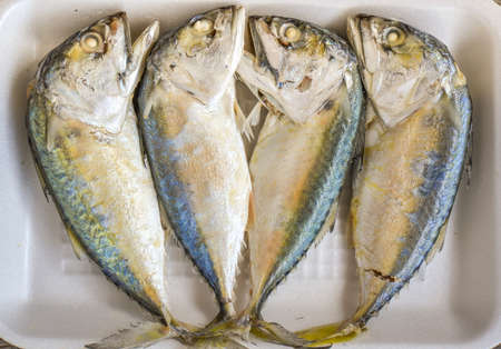 steamed mackerel fish