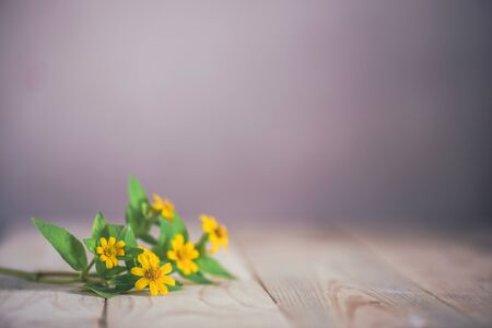Yellow flowers on wooden table, vintage styleの写真素材