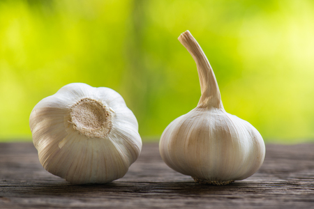 garlicの写真素材