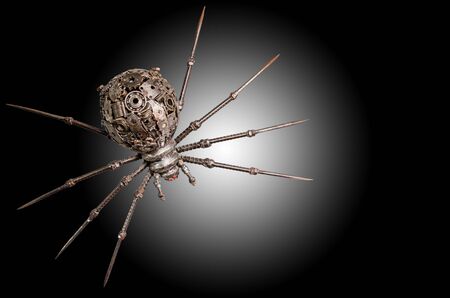 Spider Puppets Iron on the surface of varied の写真素材