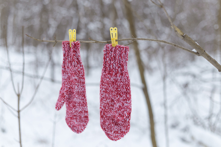Red mittens on clothespins in the forestの写真素材