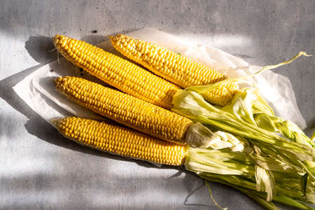 Composition with fresh corn cobs on tableの写真素材
