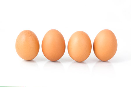 Egg line up  1 2 3 4の写真素材