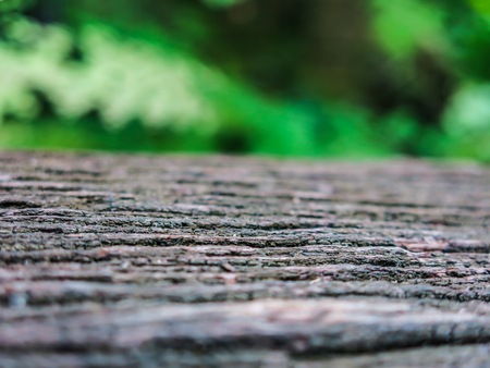 Old wood boards used to make the background.の写真素材