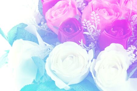 art pastel beautiful  flowers with color filters and noon day sun.の写真素材