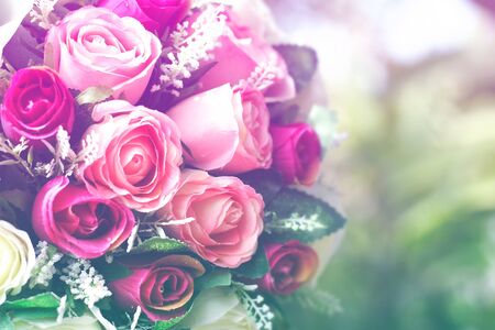 art pastel beautiful  flowers with color filters and noon day sun.の写真素材
