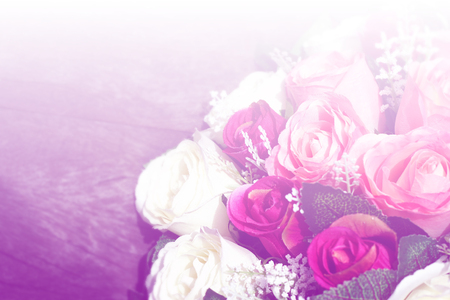 art pastel beautiful  flowers with color filters and noon day sun.の写真素材