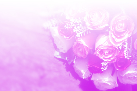 art pastel beautiful  flowers with color filters and noon day sun.の写真素材