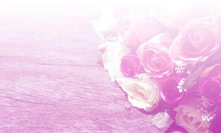 art pastel beautiful  flowers with color filters and noon day sun.の写真素材