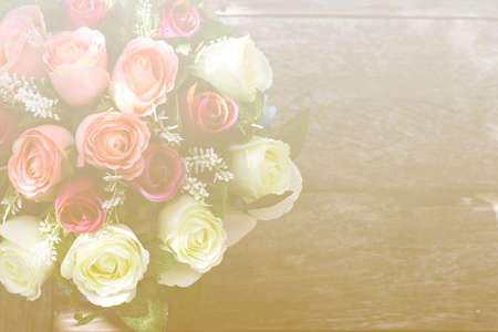 art pastel beautiful  flowers with color filters and noon day sun.の写真素材