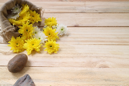 Spring Yellow flowers on wooden backgroundの写真素材
