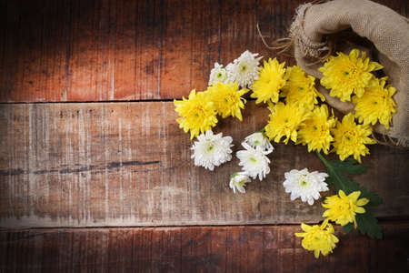Spring Yellow flowers on wooden backgroundの写真素材