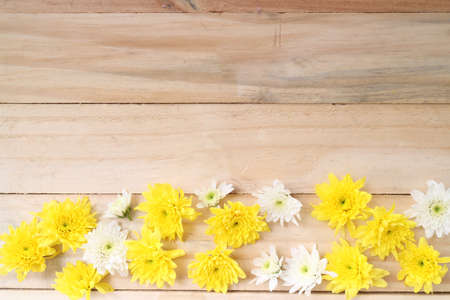Spring Yellow flowers on wooden backgroundの写真素材