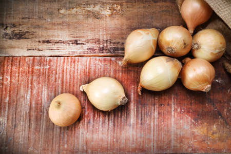 big  onion  group on wood , vintage styleの写真素材