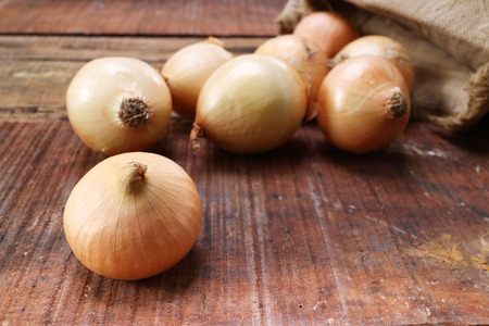 big  onion  group on wood , vintage styleの写真素材