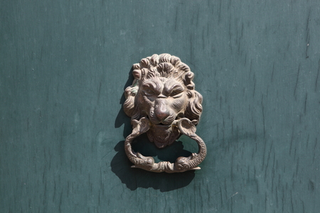 Door knocker in the shape of a lion on old wood doorの写真素材