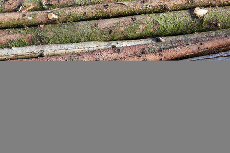 Pile of firewood