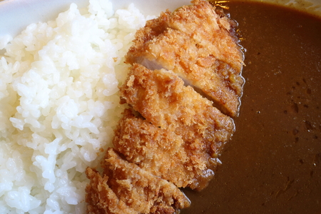 Japanese food style, rice with fried chickenの写真素材