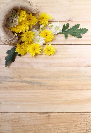 Spring Yellow flowers on wooden backgroundの写真素材