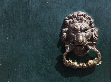 Door knocker in the shape of a lion on old wood doorの写真素材