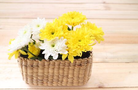 Spring Yellow flowers on wooden backgroundの写真素材