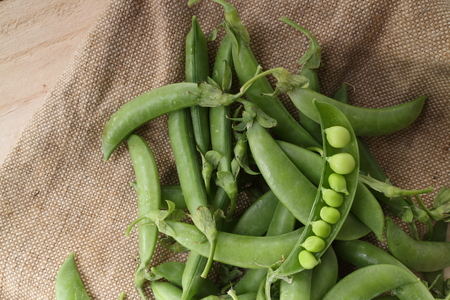 fresh beans broad over wood background, selective focusの写真素材