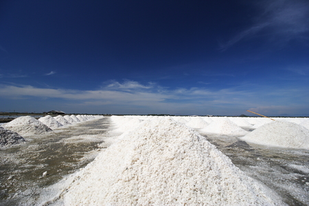 heap of salted harvesting in original tradition salt farm industry agricultural in coastal area central of thailandの写真素材