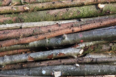 Pile of firewoodの写真素材