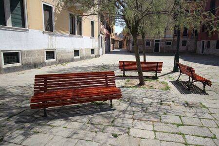 Park Bench in the Morning Lightの写真素材