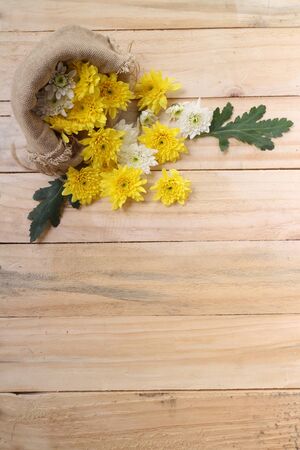 Spring Yellow flowers on wooden backgroundの写真素材