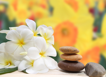 Zen spa concept background - Zen massage stones with frangipani plumeria flowerの写真素材