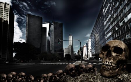 Still life, human skull on dry field in city with building backgroundの写真素材